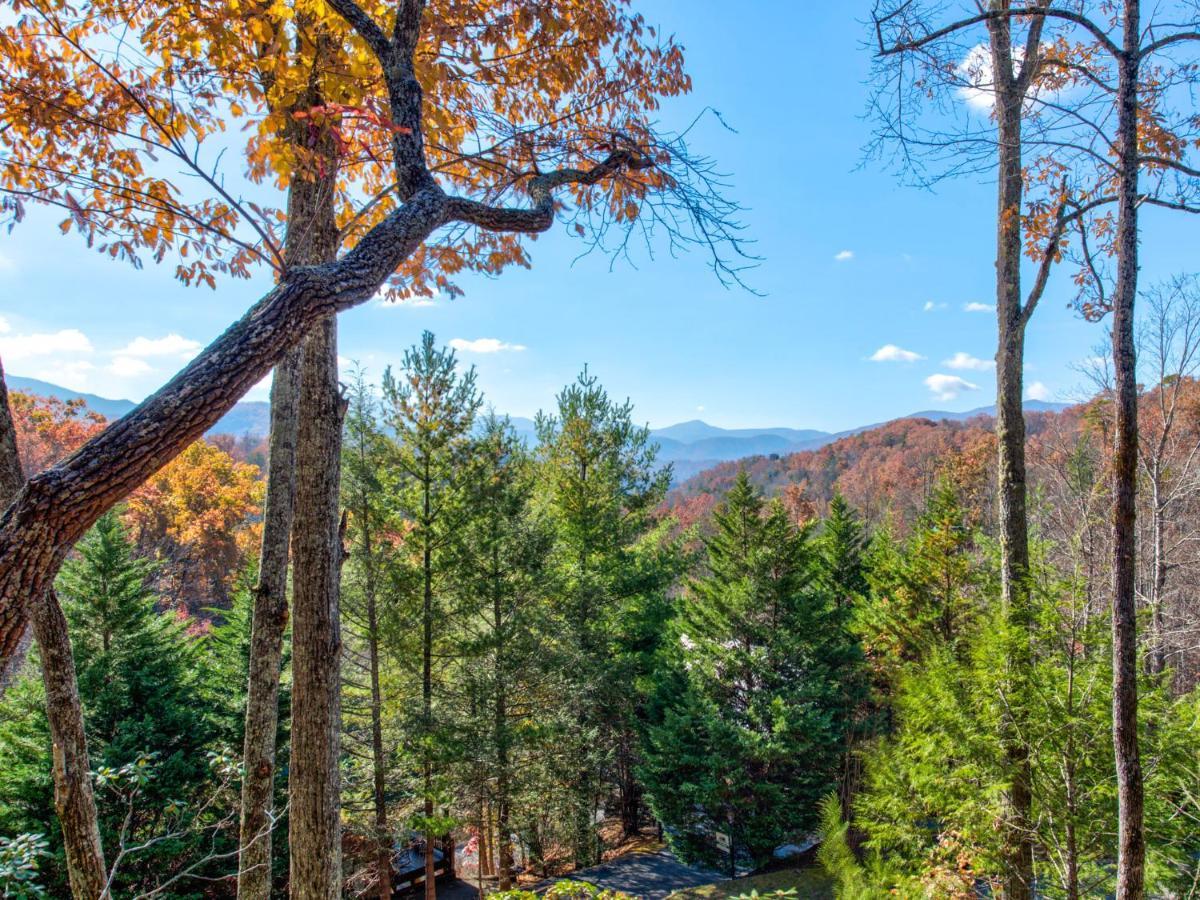 Cubs Corner Villa Gatlinburg Luaran gambar